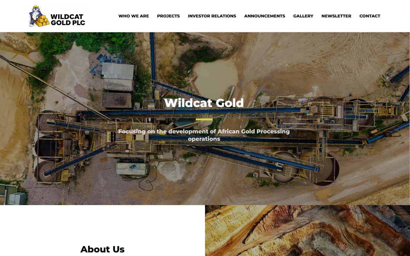 Live screenshot: Wildcat Gold PLC — investor relations website for an LSE-listed company
